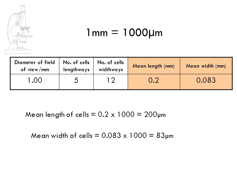 Mean length of cells = 0.2 x 1000 = 200µm 1mm = 1000µm Mean